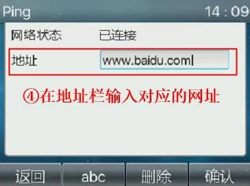 於話機Ping工具輸入網址