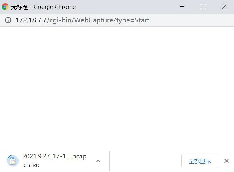 Downloading the packet capture file