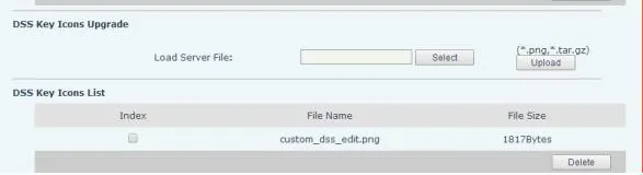 自訂 DSSkey 圖示升級
