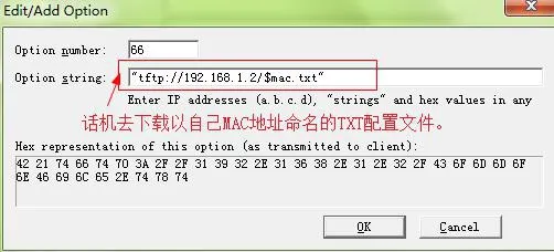 新增 DHCP option